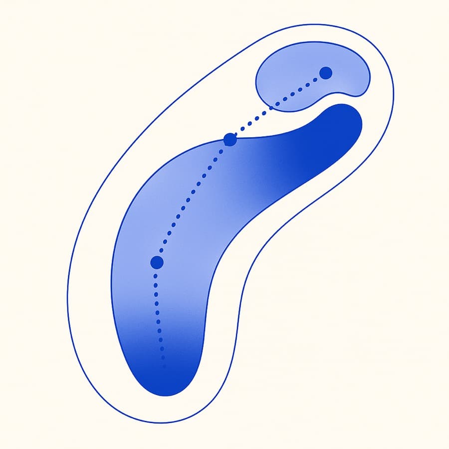 Abstract aerial golf hole with a dotted optimal strategy line